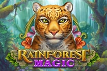 Rainforest Magic